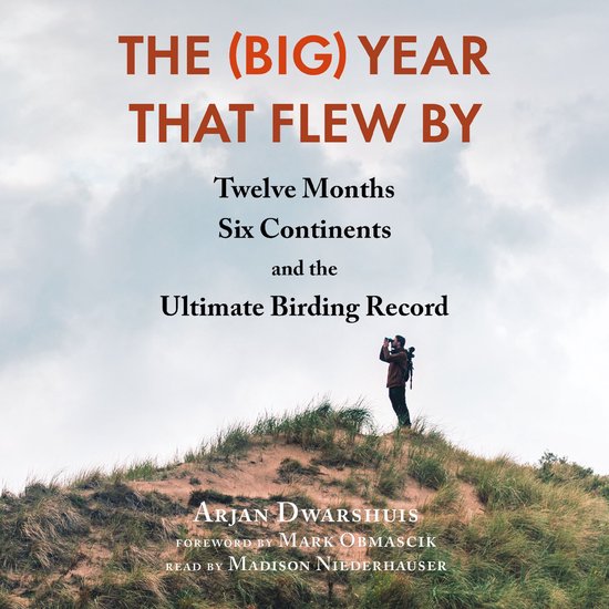 The (Big) Year That Flew By - cover