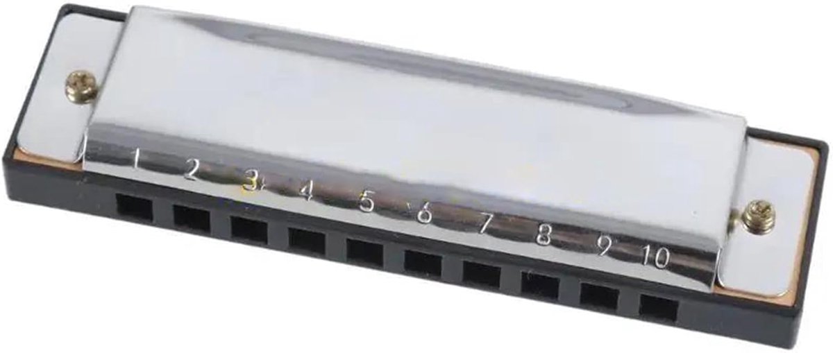 Mondharmonica - Blaasinstrument - Muziek Leren - Gemakkelijk Spelen - 10 Gaten C - Zilver