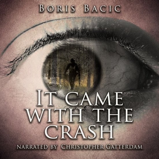 It Came With The Crash - cover