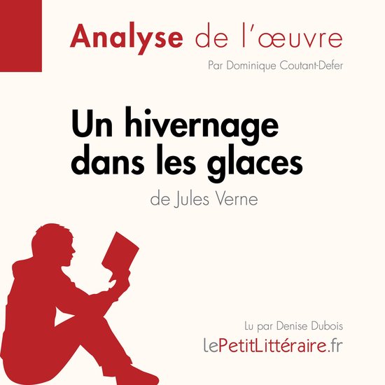 Un hivernage dans les glaces de Jules Verne (Fiche de lectur ... - cover