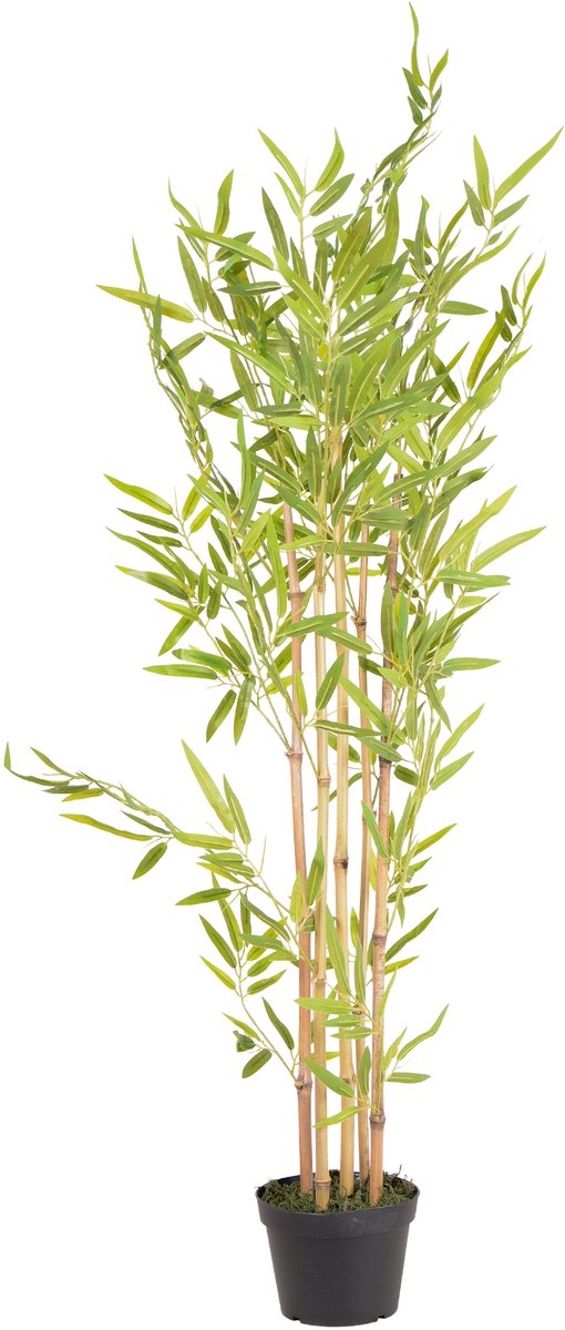 UNUS Kunstplant Bamboe 120 cm met echte bamboestam, kamerplant met natuurlijke houten stam Groen