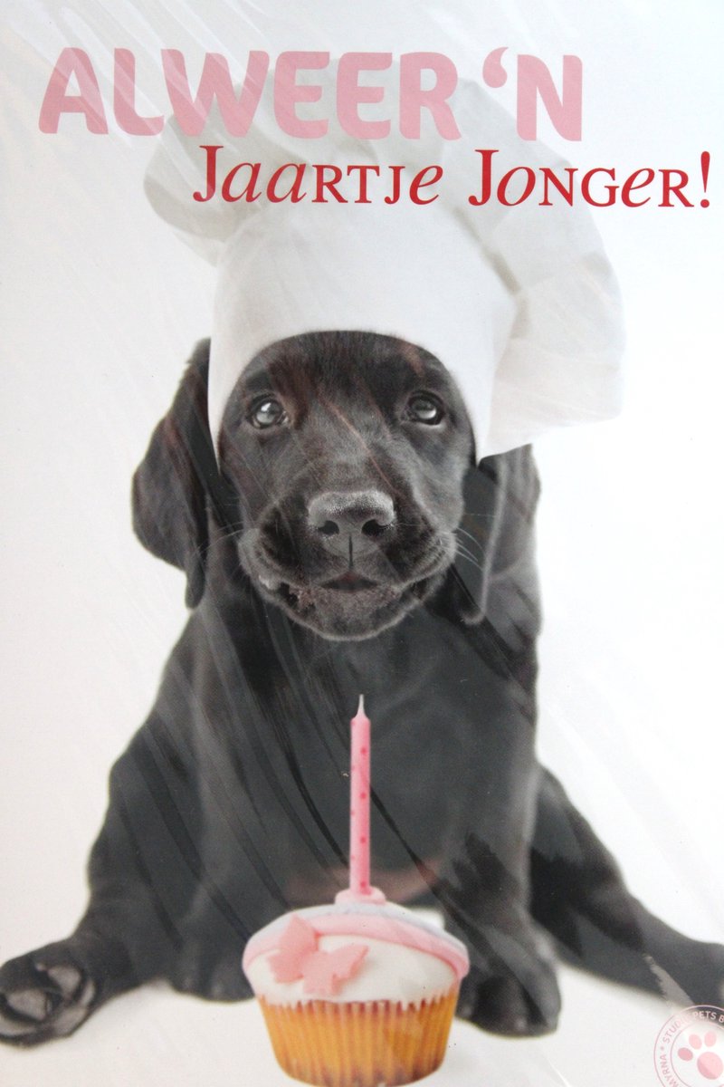 Luxe Wenskaart Verjaardag - Hartelijk Gefeliciteerd - By Myrna - Hond Puppy - 14,5x21cm - Dubbele Kaart - Met Envelop - Luxe Wens Kaart - Greeting Card - 1 Stuks - In Folie Verpakt - Birthday - Geburtstag - Anniversaire - Gratis Verzonden