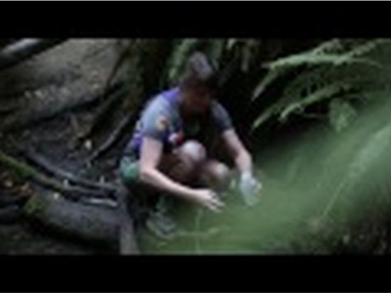 MSR TrailShot MicroFilter waterfilterpomp van MSR — afbeelding 2