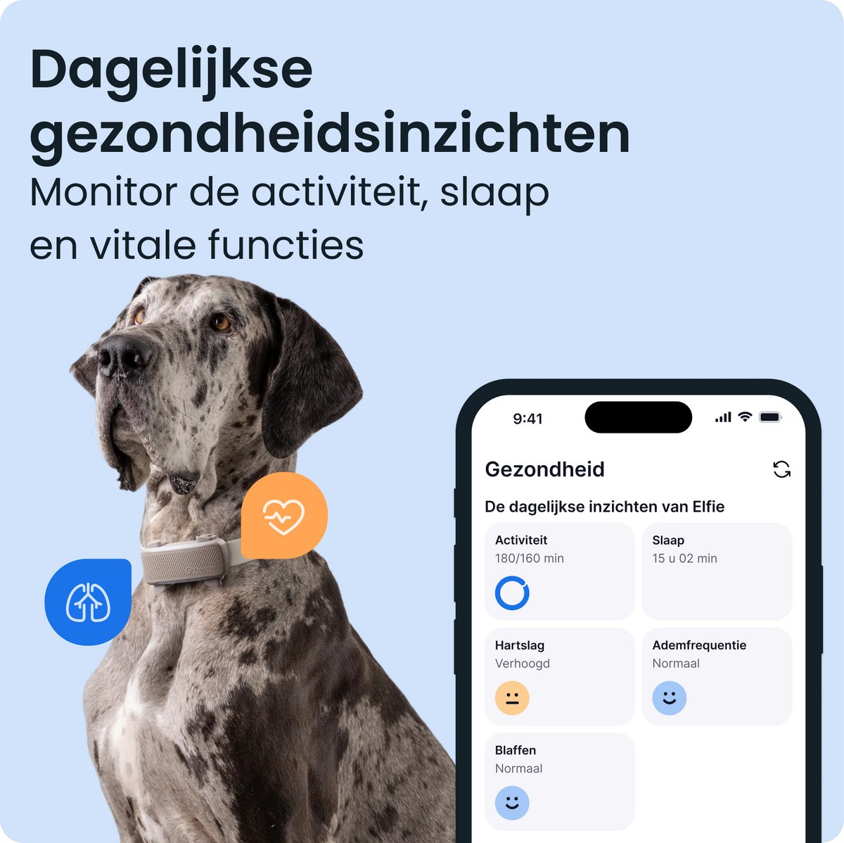 Tractive DOG 6 XL – Slimme gps-tracker voor honden met monitoring van vitale waarden en gezondheidswaarschuwingen, 6 weken batterijduur – Bruin thumbnail 6