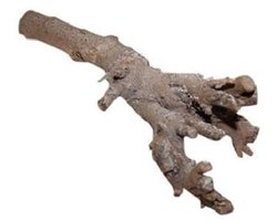 Gedroogde Kuwa root 40 cm natuurlijk wortelhout voor terraria 100% natuurlijk