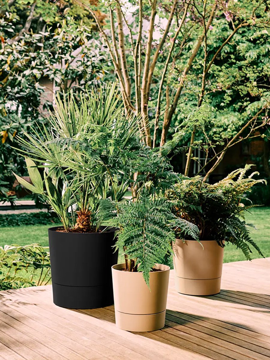 Elho Foss Round 30cm - Flower Pot for Indoors - 100% Recycled Plastic