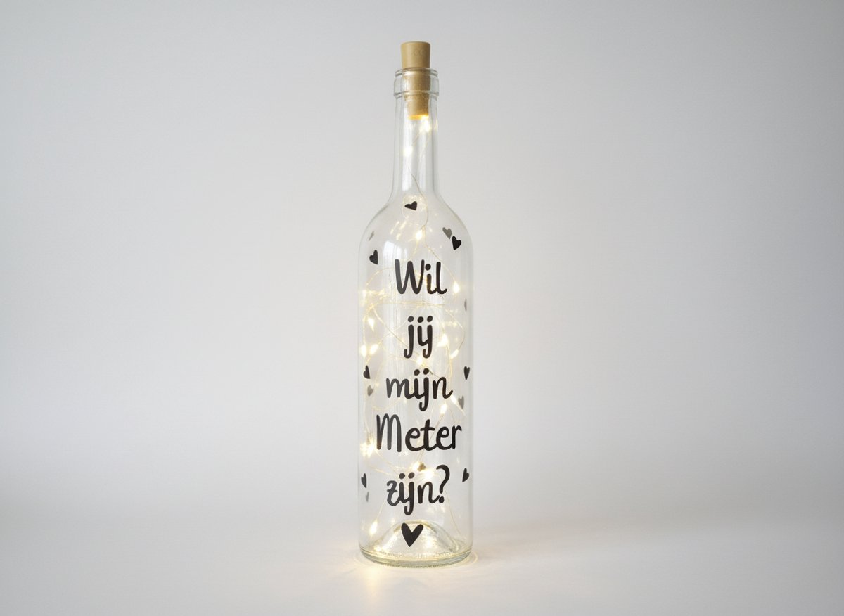 Hip met Pit Creaties Lichtfles - Meter Cadeau - Wil Jij Mijn Meter Worden - 700ml Wijnfles - 20 LED Lampjes - Batterij Aangedreven