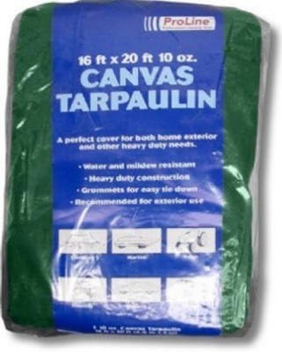 Sterk Groen Zeil/Tarp 244 x 305 cm - Robuust en Waterdicht