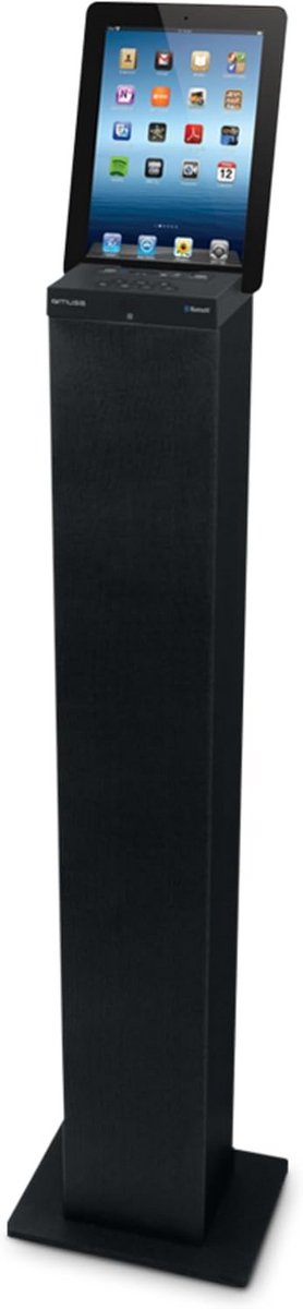Draagbare Bluetooth Kolom Speaker met Radio en USB-aansluiting