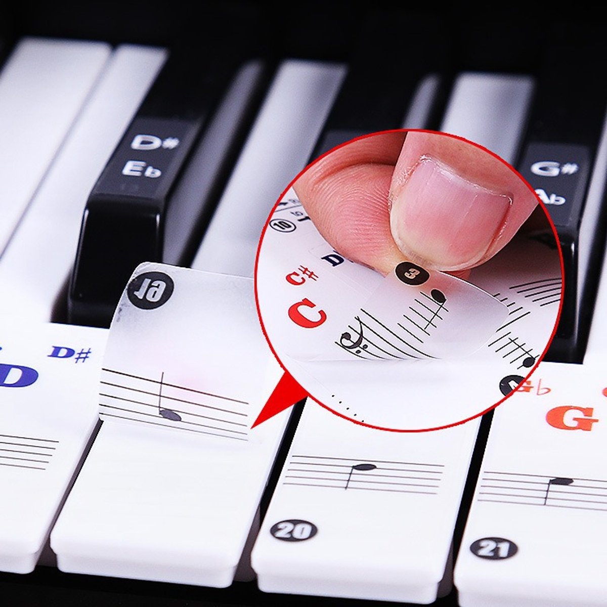 Piano stickers - Eenvoudig muzieknoten leren - Gekleurde noten voor keyboard - Muziek leren spelen - Voor Witte en zwarte toetsen -LOUZIR