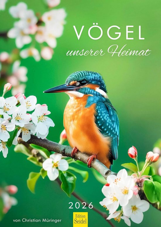 Wandkalender Vogels 2026 A3 - Fotokalender met Merel, Specht en Meer - Jaarkalender voor Thuis en Kantoor