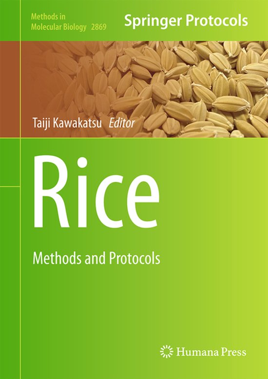 Methods in Molecular Biology2869- Rice - cover