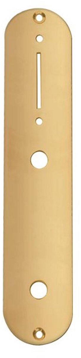 Boston CP-TE-AG Controleplaat - Goud, 32x160mm, voor Inch Potmeters