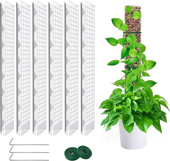 Foto: Mosstok voor planten 6 stuks 61cm plantenstok geschikt voor monstera deliciosa klimplanten voor binnen transparante plantensteun