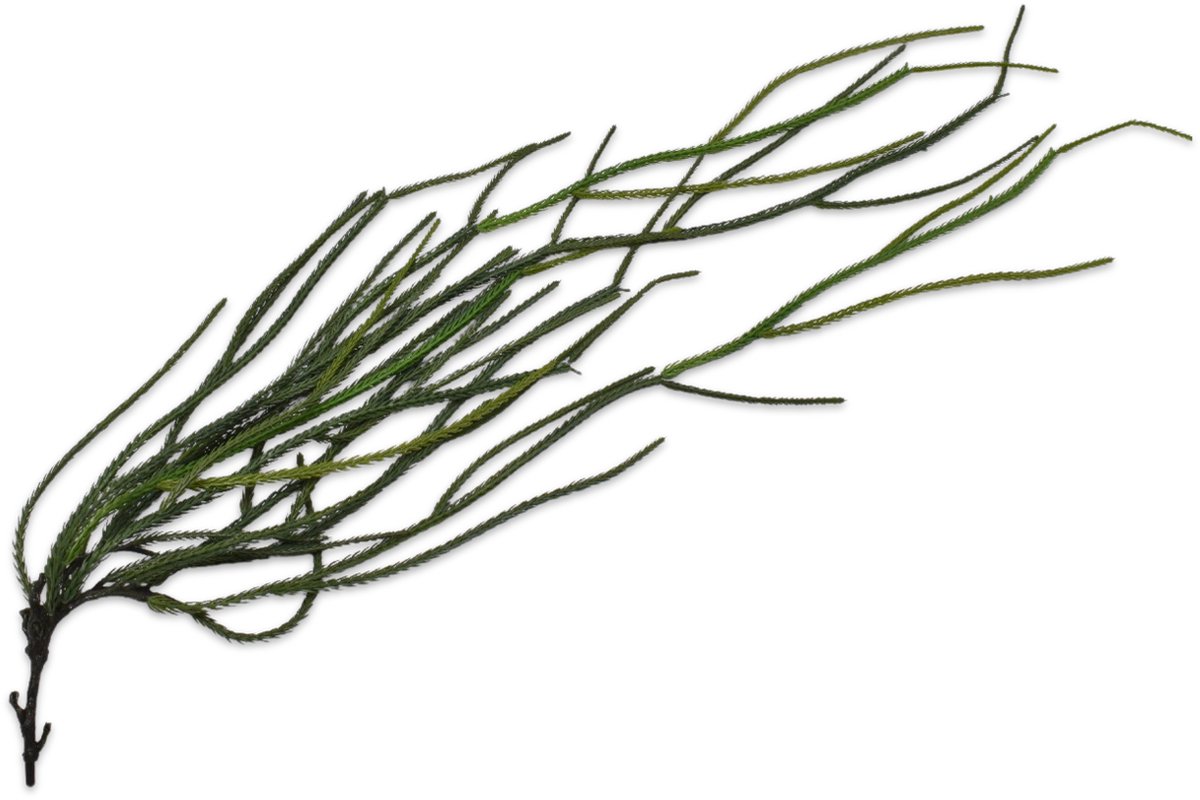 Silk-ka Kunstplant - Steker - Succulent - Groen - H97 cm
