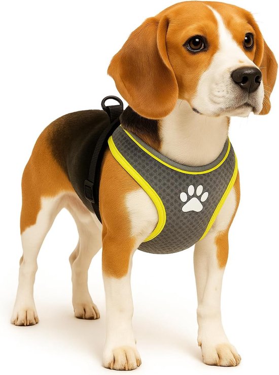 Beagle met grijs mesh harnasje met gele bies en een pootafdruk.