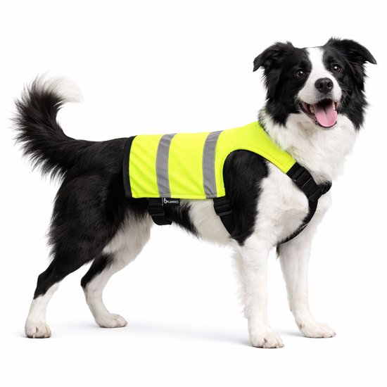 Flamingo - Veiligheidsjas Fluo - Geel - 44 - 54 cm x 50 cm