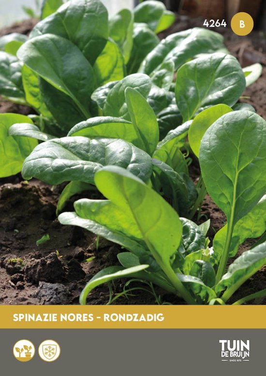Tuin de Bruijn® zaden – Spinazie Nores, rondzadig
