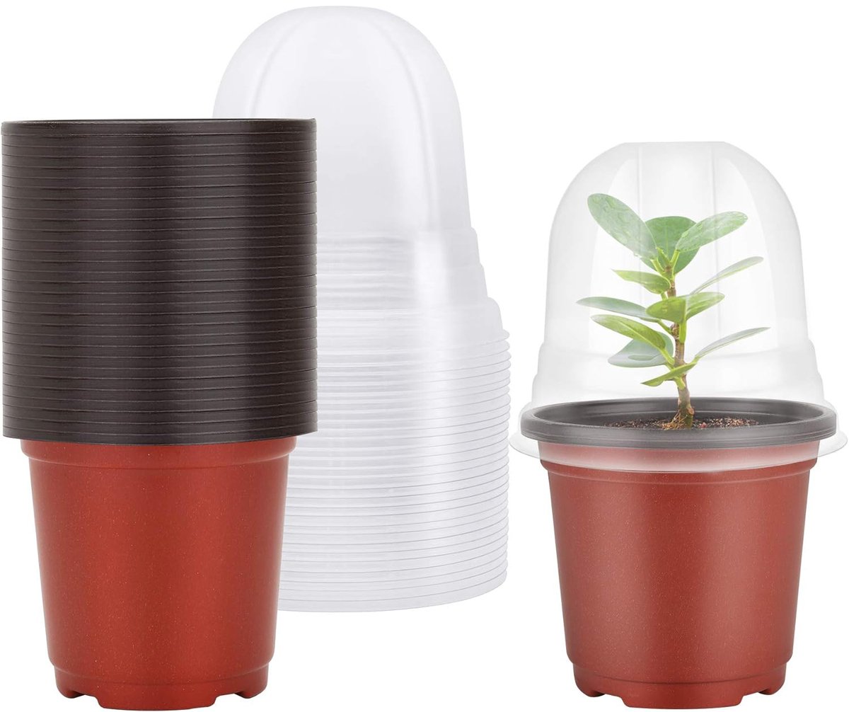 30x kweekpotjes - Kweekpotjes rond kunststof - Stekpotjes - Plantenkweekpotten met vochtigheidskoepel - Kleine zaaibakjes - plantenbakjes - zaadstartpotjes - 10 cm
