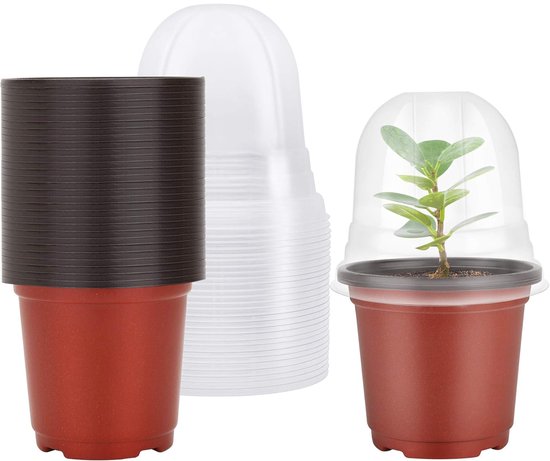 Lot De 10 Pots De Culture Ronds En Plastique Transparent Avec Dôme D’humidité – Pour Semis, Boutures Et Succulentes