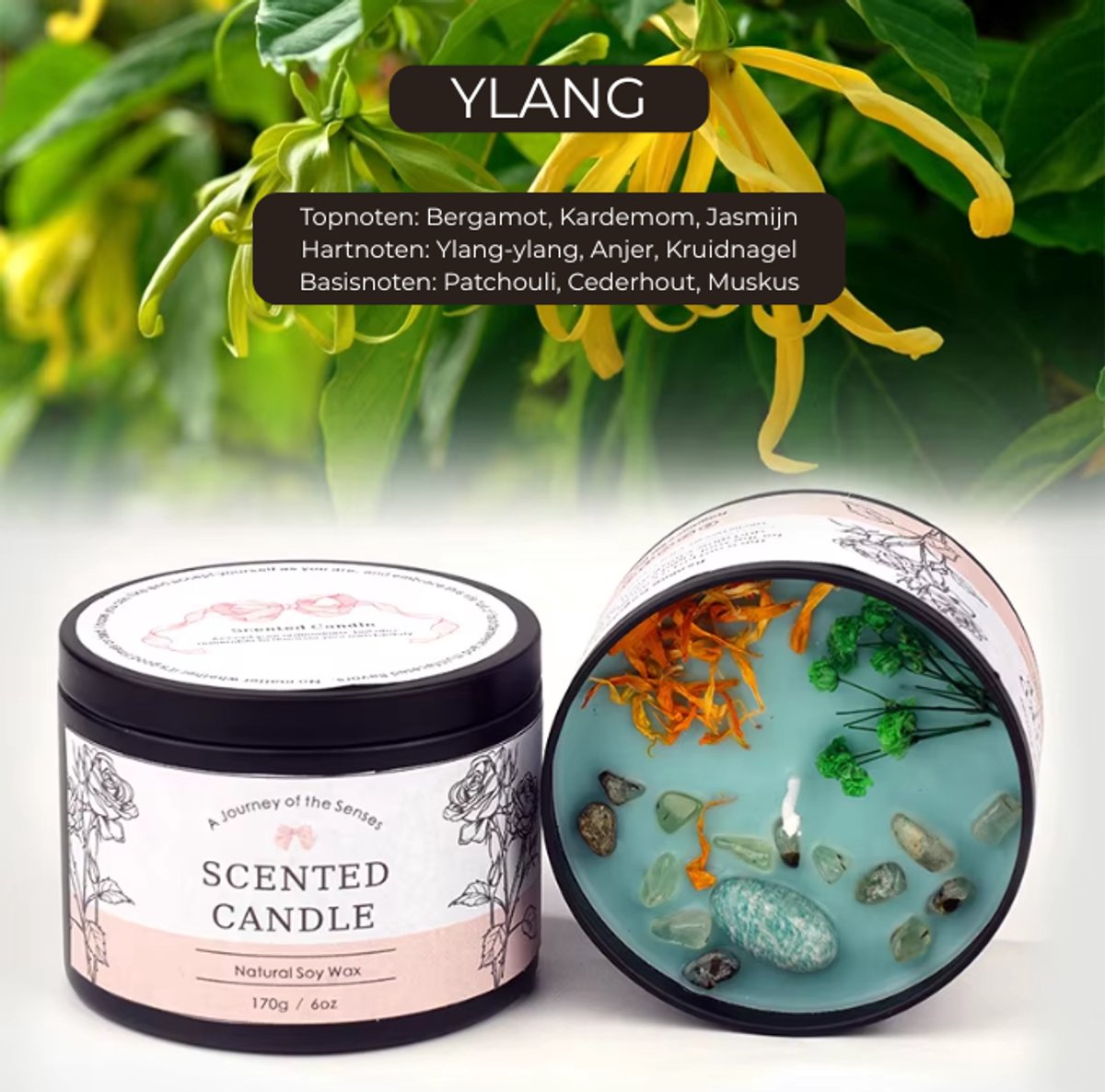 Luxe Geurkaars Ylang – Sojawas Scented Candle 170g – Bloemige Ylang Ylang met Jasmijn & Patchouli – Aromatherapie Kaars voor Ontspanning