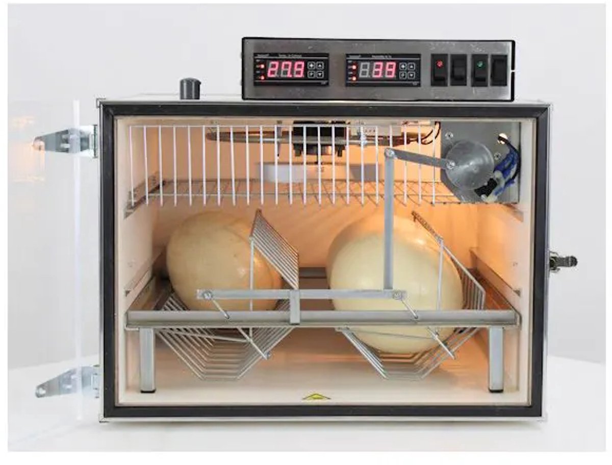 MS Broedmachine voor Grote Eieren Struisvogel (2 Rekjes)