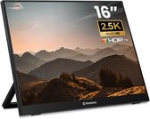 Moniteur portable Remodius® 16 pouces