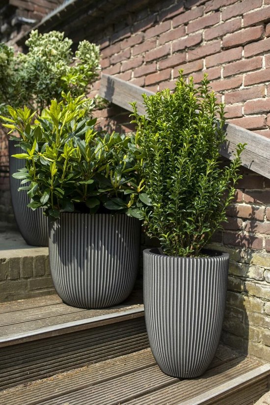 Capi Europe - Bloempot bol Groove NL - 54x52 - Goud - Opening 54 - Bloempot voor binnen en buiten - KGVGB935