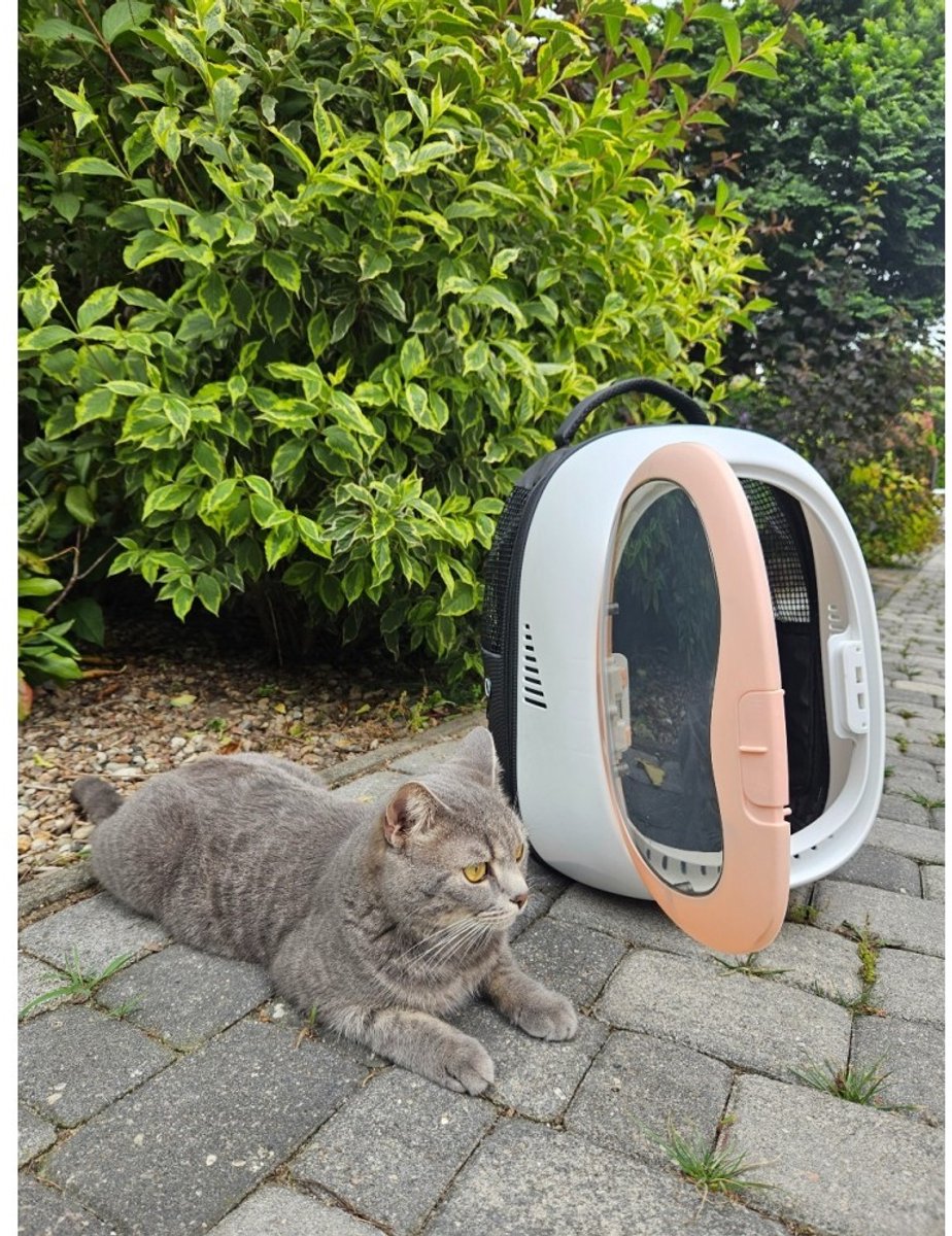 Petrive ABS Cloud Kattenrugzak & Hondenrugzak met Bubble – Rugzak en Fietsdrager – Huisdier Backpack voor Kleine Hond of Kat