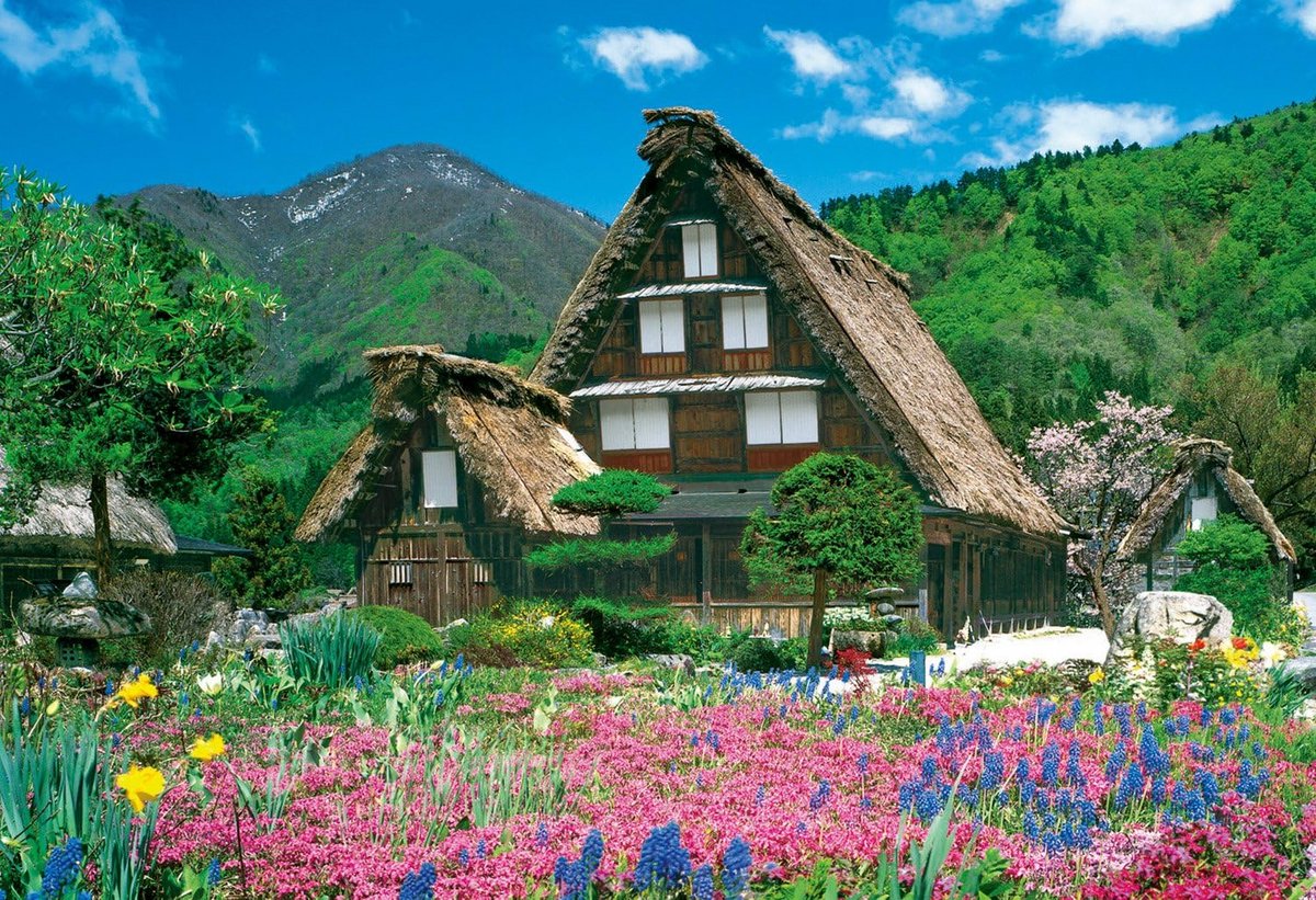 Puzzel 300 Stukjes - Meesterwerk Bloem Bloesem van Shirakawa-go | Uitdagend Legpuzzel