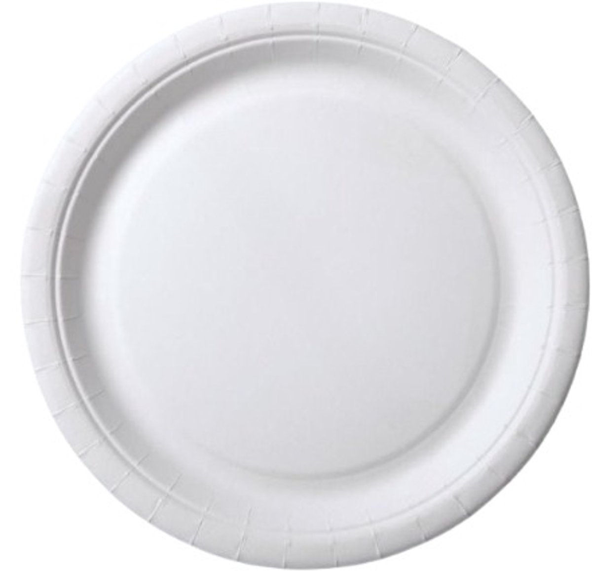 Kartonnen wegwerp borden – Wit – 18 cm – 20 stuks – Wegwerpservies