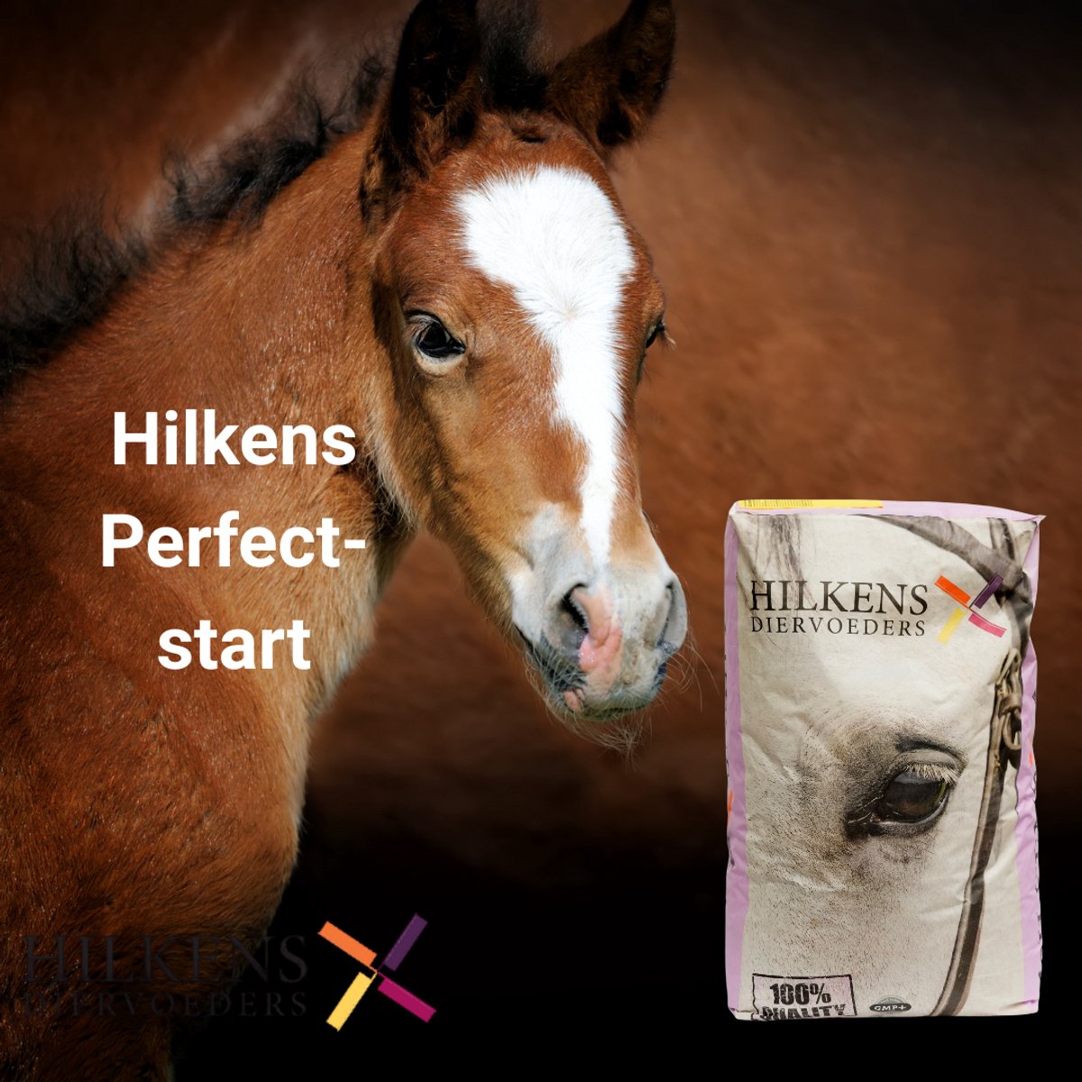 Perfect-start