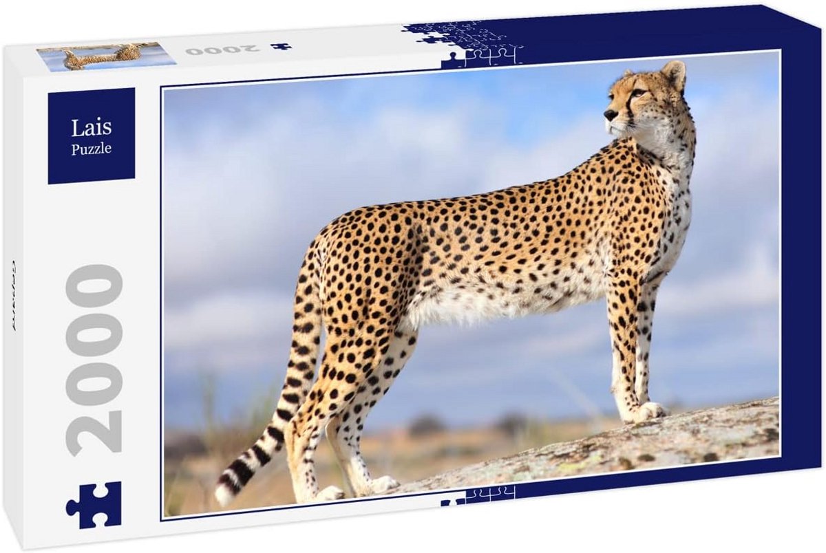 Puzzel van 2000 stukjes met een jachtluipaard