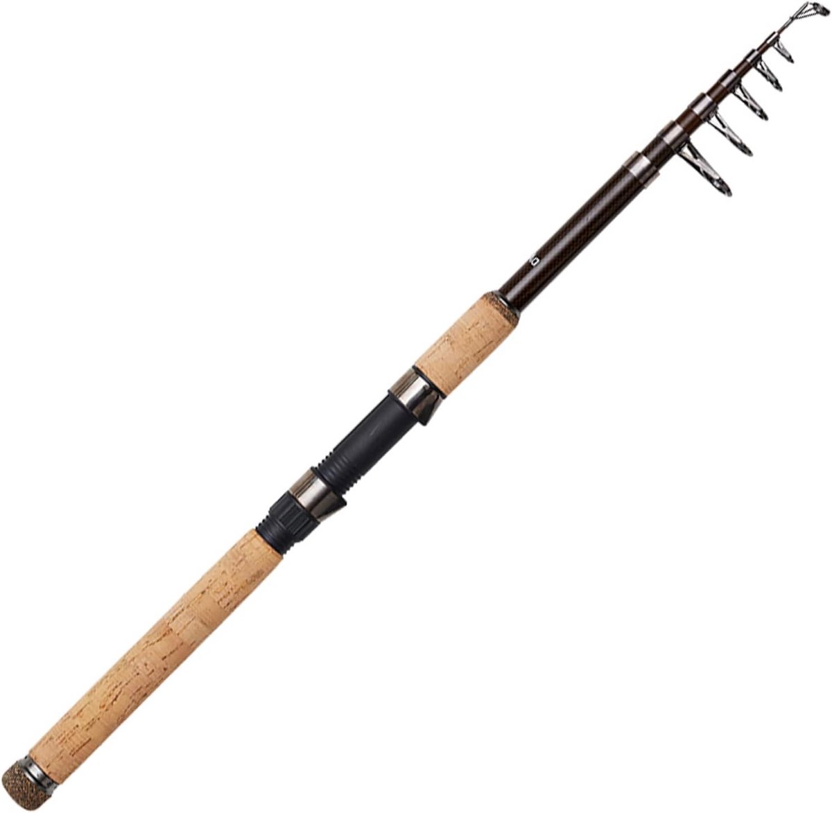 Teleskopische Spinhengel Allround Vissen Zwart 2,40m 30-80g
