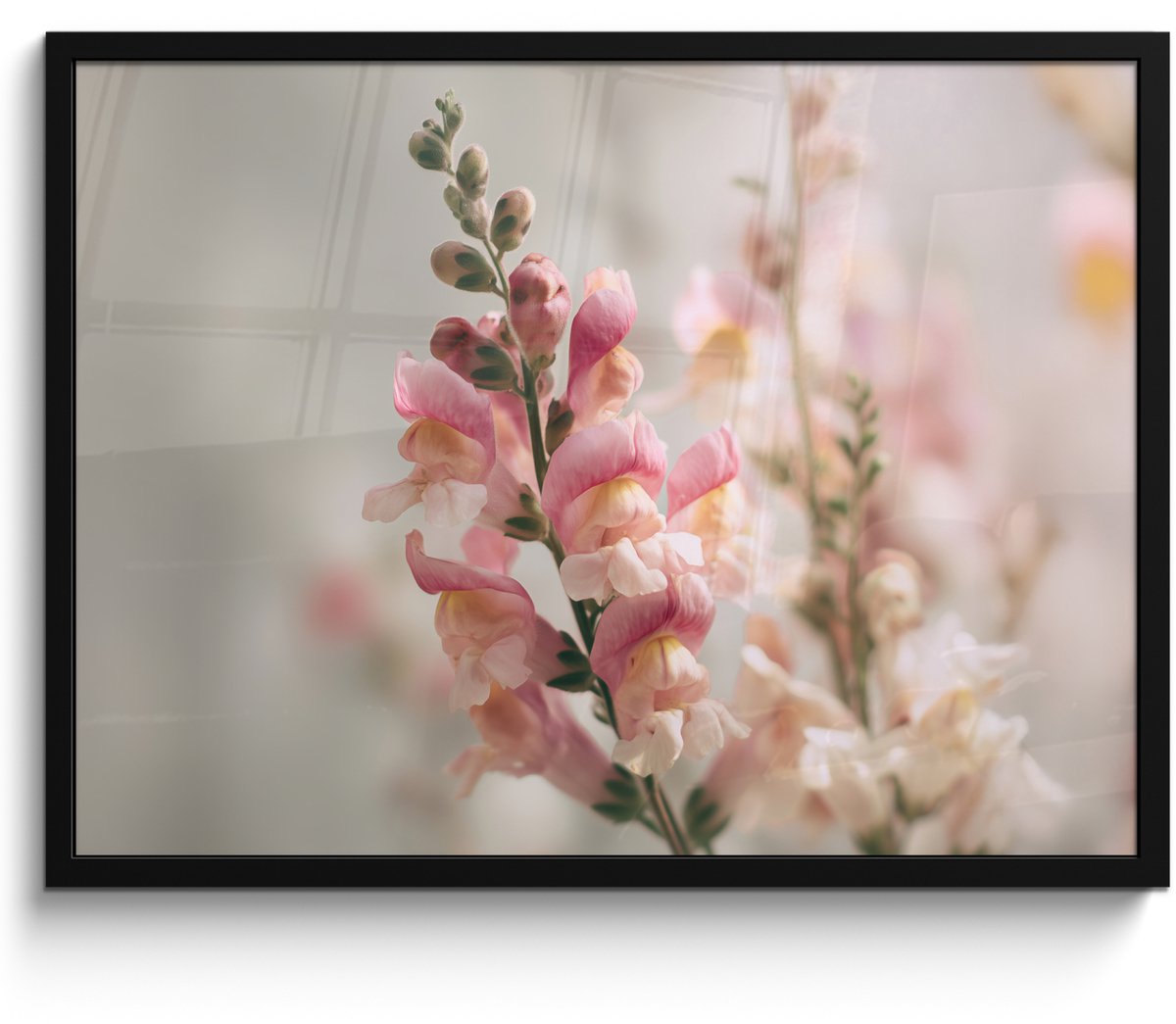 FrameYourWall Poster in lijst - Fotolijst 70x50 cm - Posters - Bloem - Leeuwenbek - Roze - Stengel - Posterlijst zwart - Decoratie - Wanddecoratie woonkamer - Muurdecoratie slaapkamer