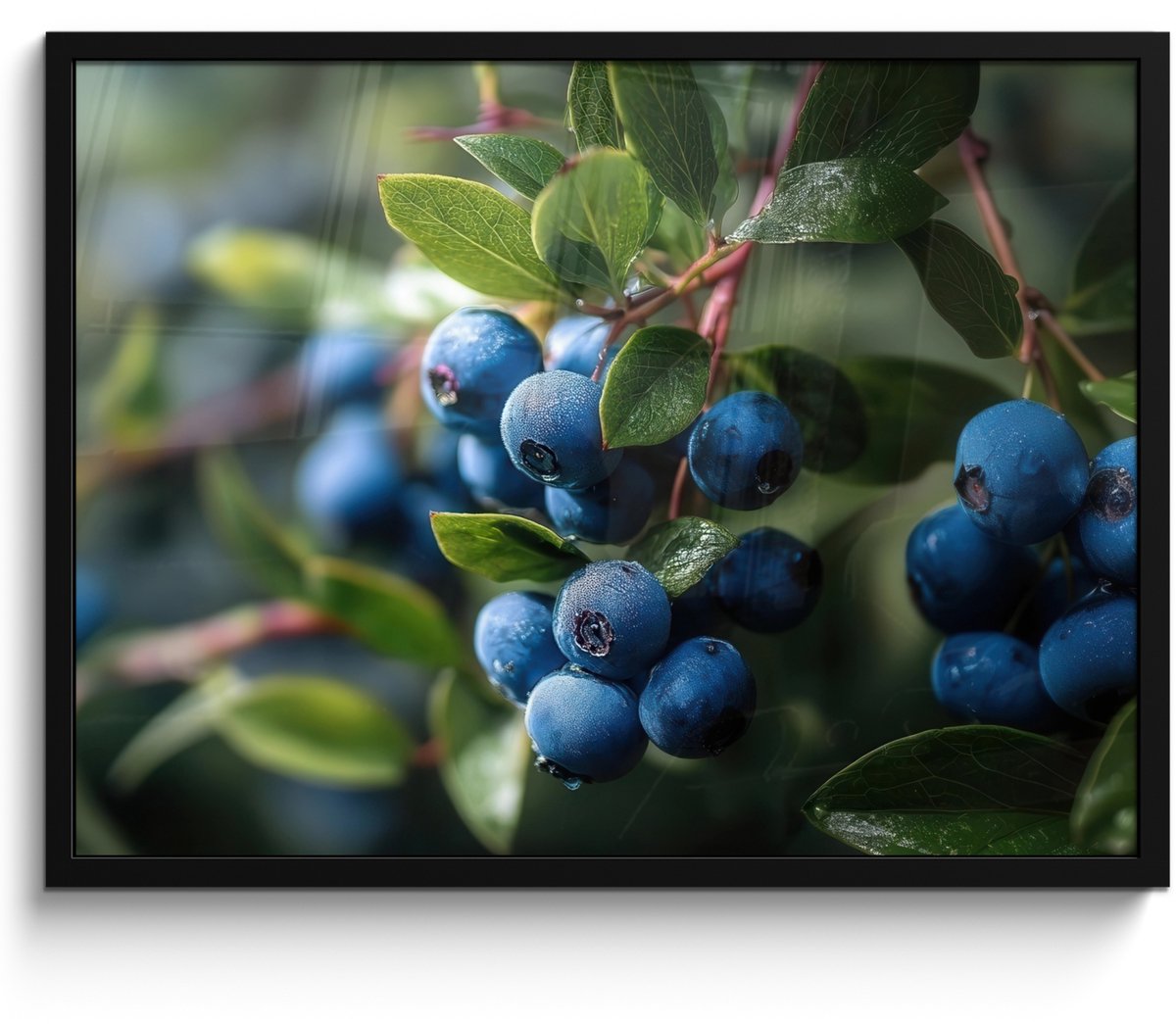 FrameYourWall Poster in lijst - Fotolijst 70x50 cm - Posters - Blauwe bessen - Dauwdruppels - Natuurlijk licht - Posterlijst zwart - Decoratie - Wanddecoratie woonkamer - Muurdecoratie slaapkamer