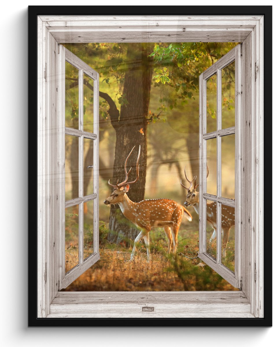 FrameYourWall Poster in lijst - Fotolijst 50x70 cm - Posters - Herten - Bos - Herfst - Bosdieren - Natuur - Hert - Doorkijk - Posterlijst zwart - Decoratie - Wanddecoratie woonkamer - Muurdecoratie slaapkamer