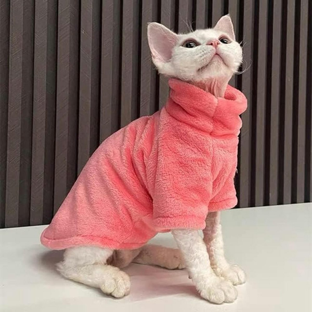Warme Kattehoodie met Capuchon voor Sphynx en Kittens - Dubbelzijdig Fluweel, Zacht Katoenen Winterkleding voor Katten