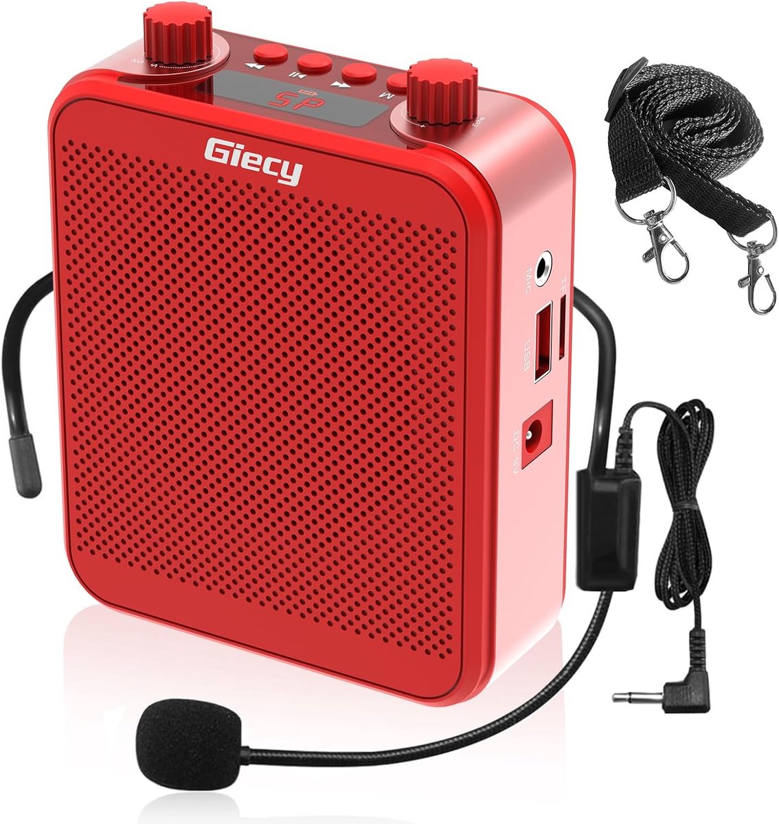 Draagbare Stemversterker 30W met Microfoon en Oplaadbare Batterij