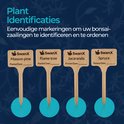 Vier houten plantenstekkers met de tekst 'Masson Pine', 'Flame Tree', 'Jacaranda' en 'Spruce'.