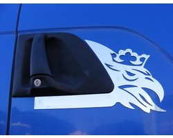 2 Stuks Roestvrij Staal Gepolijst Deurpaneel Decoratie voor Vrachtwagen R/G/P Serie