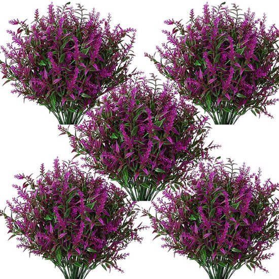 Wanneer lavendel knippen? - | Lifehacks uit oma's tijd