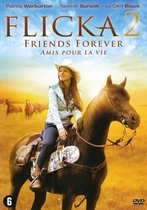 Flicka 2