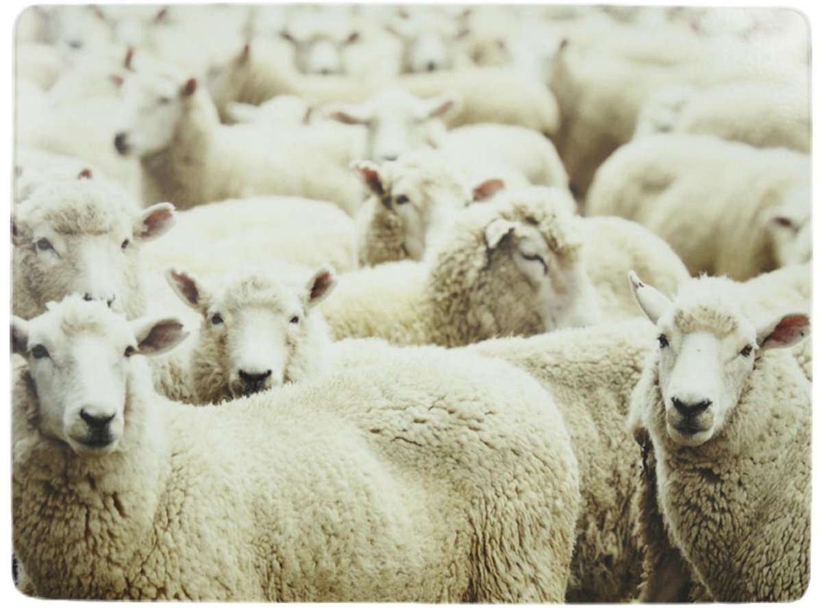 placemat schapen 30x40cm (4)