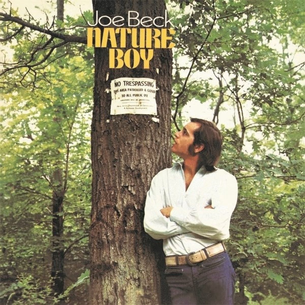 Joe Beck - Nature Boy (CD) (Korean)