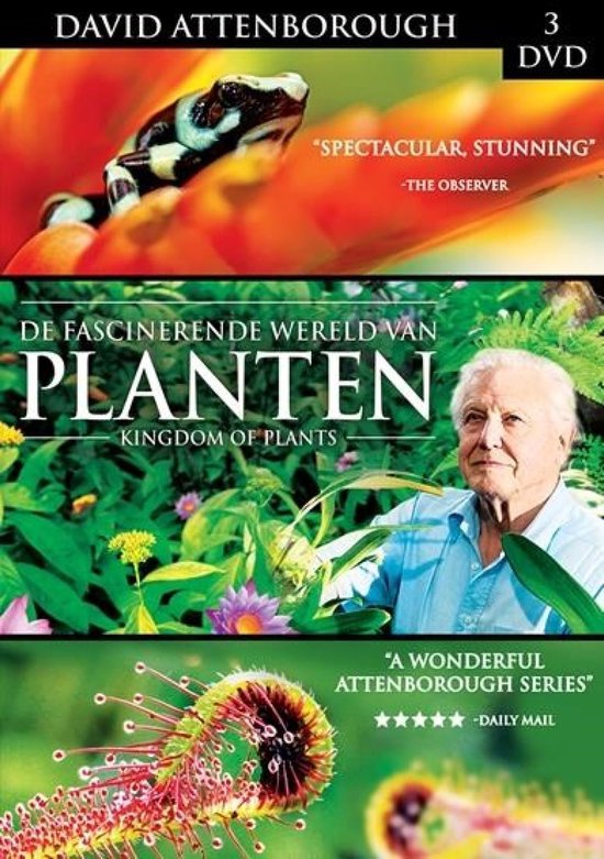 Kingdom Of Plants