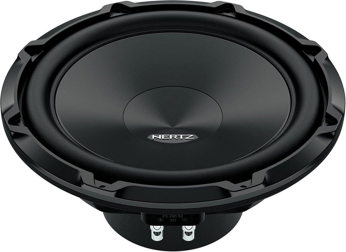 25 cm Subwoofer 600W 4 Ohm voor Krachtige en Diepe Basweergave