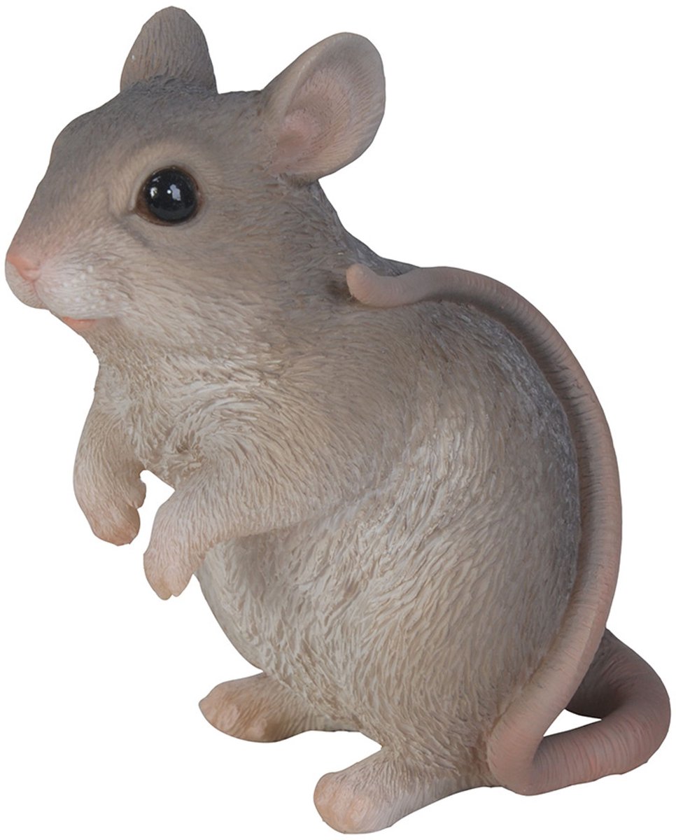 HotAnt Tuinbeeld dieren - Kleine muis - Grijs (Polystone) - Voor buiten - Tuin decoratie - Cadeau
