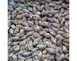 Oswalt - Slakken - 1 Liter - Visvoer voor kogelvissen - gedroogd - visvoer