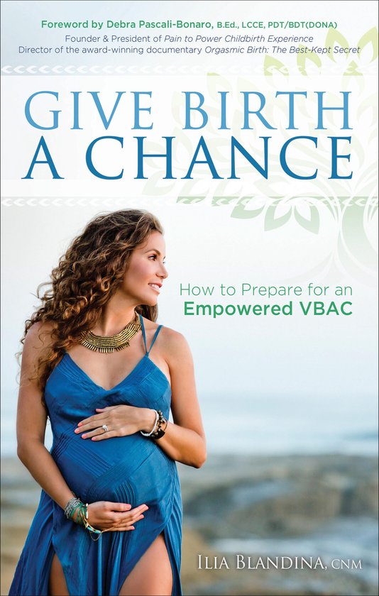 Give Birth a Chance - cover
